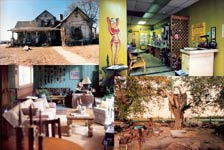 Various Feature Film